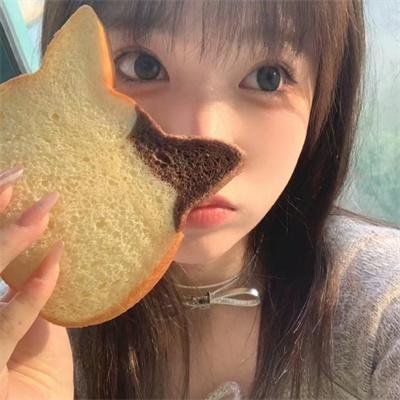 萨尔瓦多日记